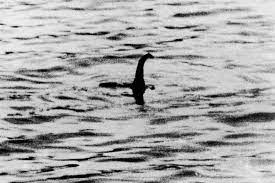 Cryptozoology